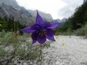 barbaracatsedlackova